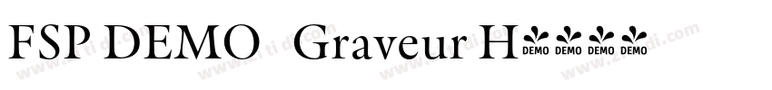 FSP DEMO   Graveur H字体转换